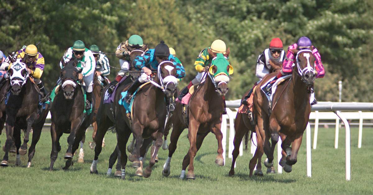 horses racing on turf